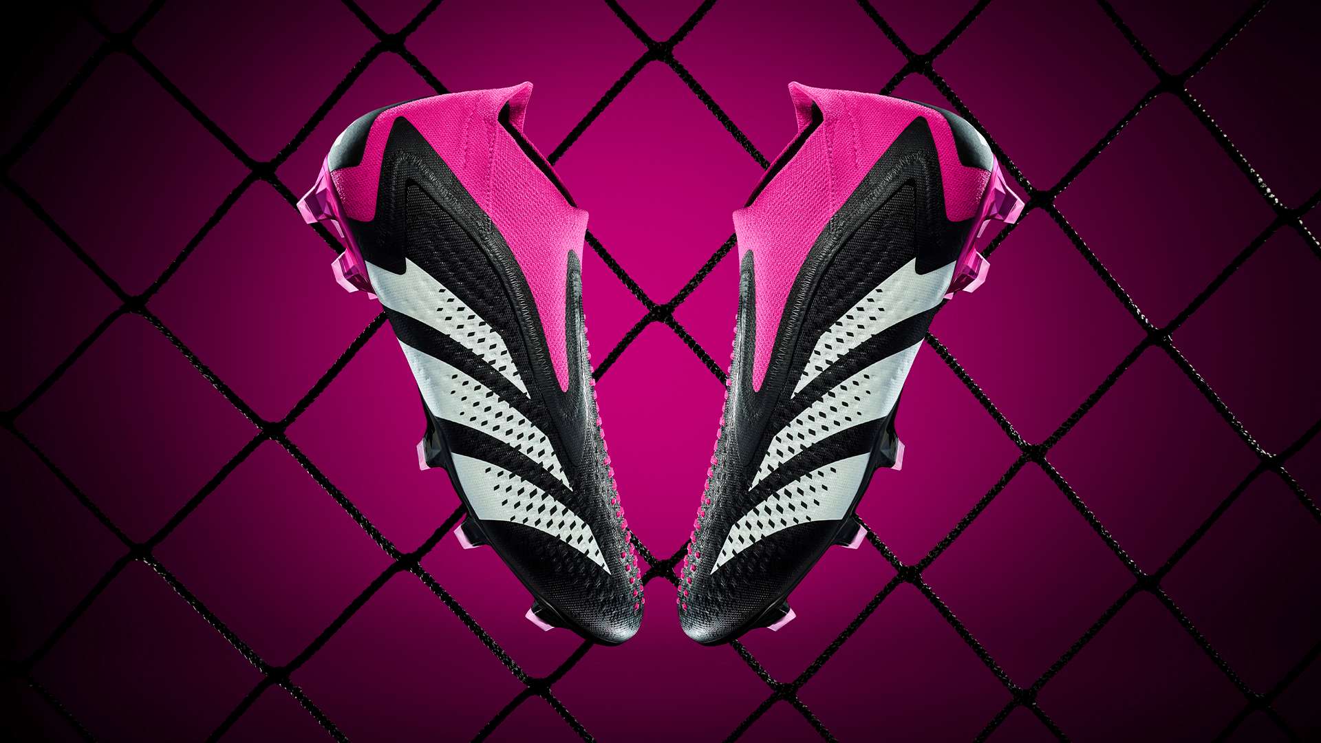 迷文化的融 迷文化的融