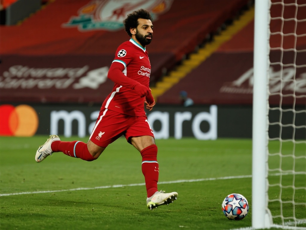 中国队与巴 中国队与巴